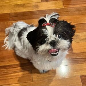 Hi, Welcome!